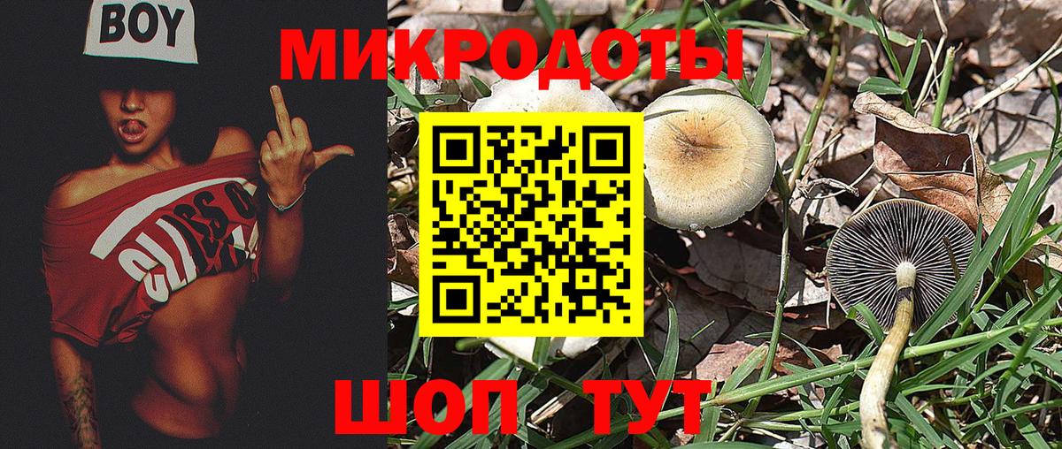 Галлюциногенные грибы MAGIC MUSHROOMS Щёлково